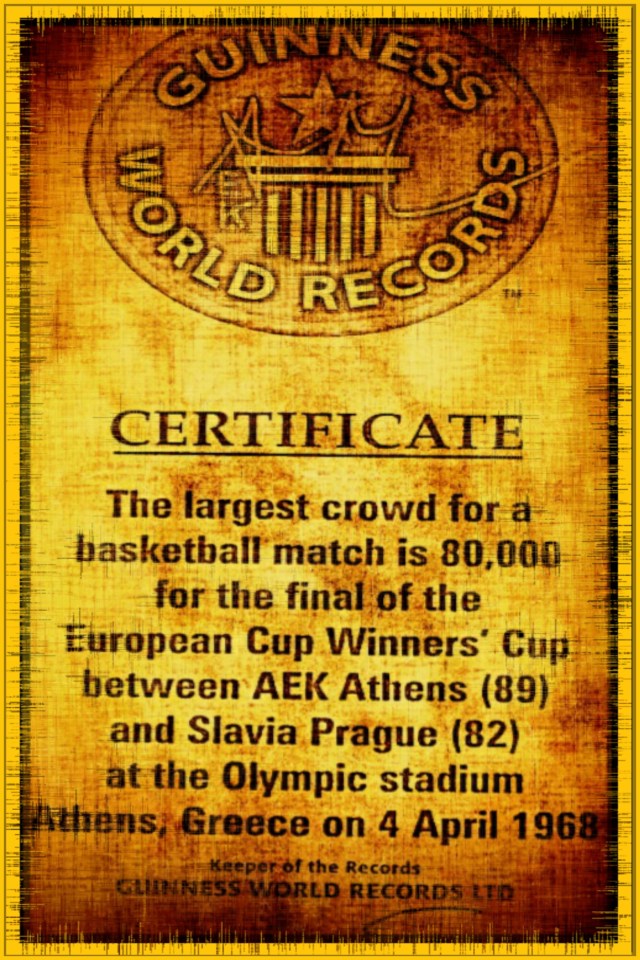 PicsArt_06-07-05.49.46