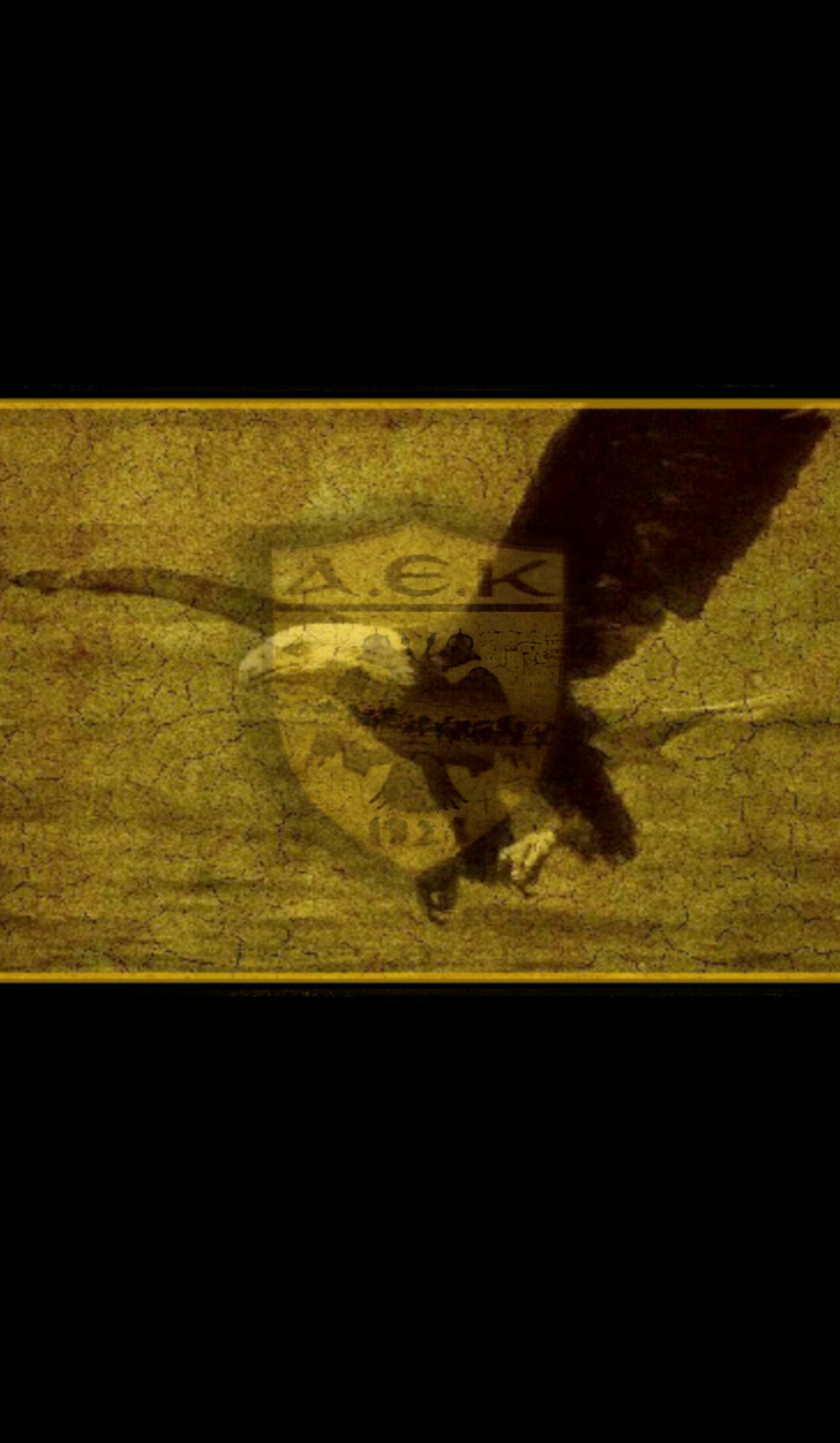 PicsArt_02-07-05.25.49